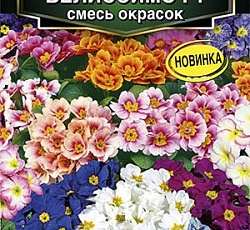 Примула бесстебельная Белиссимо F1 (смесь окрасок)
