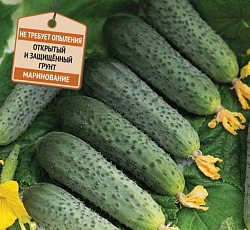 Огурец Форсаж F1