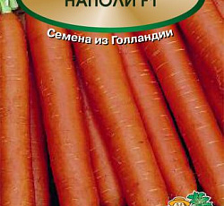 Морковь Наполи F1