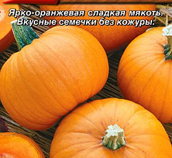 Тыква твердокорая Бэби