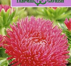 Астра Джувел Турмалин