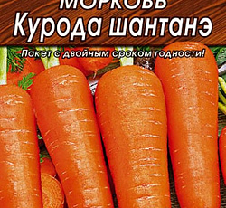 Морковь Курода Шантанэ