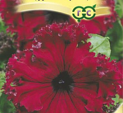 Петуния бахромчатая Кринолин красный F1 (Фриллитуния)