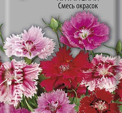 Гвоздика китайская Смесь окрасок