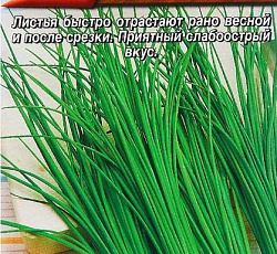 Лук шнитт Весенний