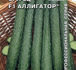 Огурец Аллигатор F1