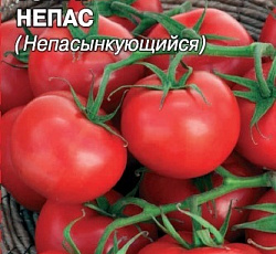Томат Непас (непасынкующийся)