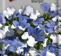 Немезия Фокстрот