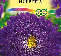 Астра Принцесса Нигретта