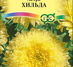 Астра Принцесса Хильда