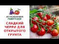 Видео о товаре