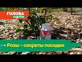 Видео о товаре