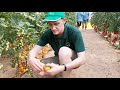 Видео о товаре