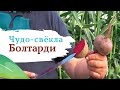 Видео о товаре