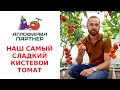 Видео о товаре