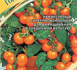 Томат Горшечный оранжевый